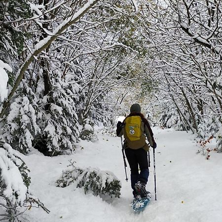 B&B Fiume Bianco Fiumalbo Dış mekan fotoğraf